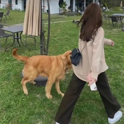 总裁的技师替身